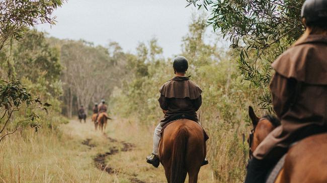 Riding with Zephyr Horses near Byron Bay.