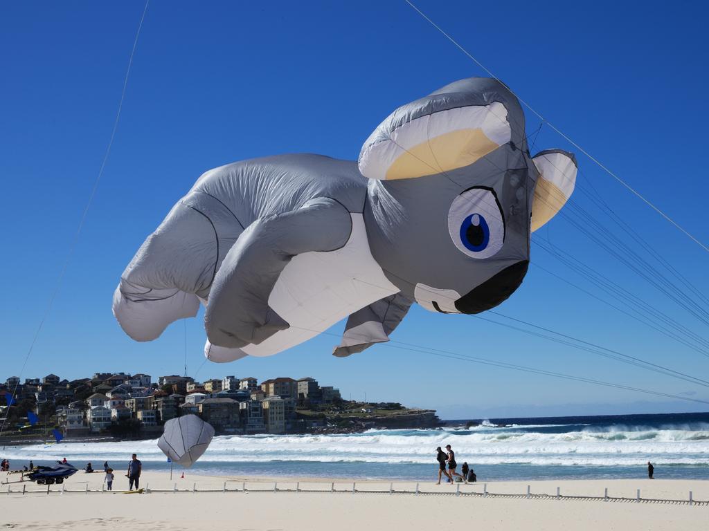 Festival of the Winds Bondi Beach Daily Telegraph