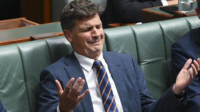 Angus Taylor says the tax cut backflip is the ‘mother of all broken promises’. Picture: NCA NewsWire / Martin Ollman