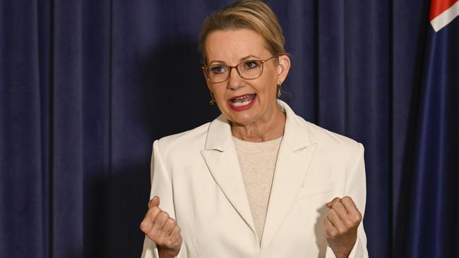 Liberal leader Sussan Ley is chasing a compromise on nuclear energy after claims the Liberal Party had ‘a gun to its head’ during Coalition talks. Picture: NewsWire / Martin Ollman