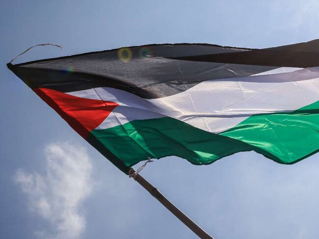 Palestine Flag. Picture: Supplied