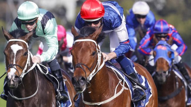 Lord Ardmore looks good value in the Gosford Gold Cup. Picture: Getty Images