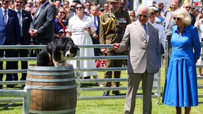 King Charles and Queen Camilla watch sheep dog trials at Parramatta Park. Picture: Toby Melville-Pool/Getty Images