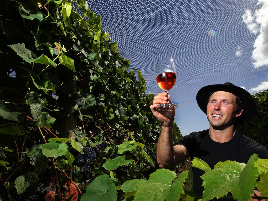 Ghost Rock Vineyard wine maker Justin Arnold with a glass of Rose among the vines at Northdown. Picture: Chris Kidd