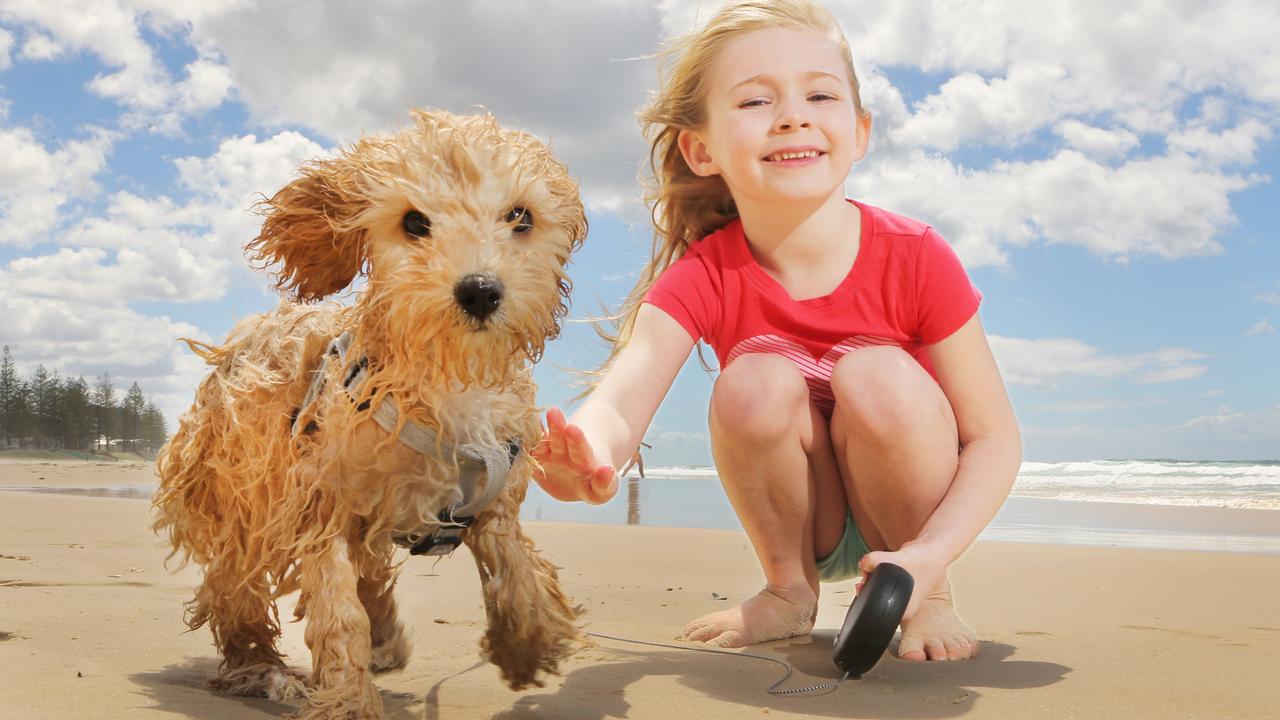 gold-coast-weather-rain-and-thunderstorms-expected-for-the-next-month