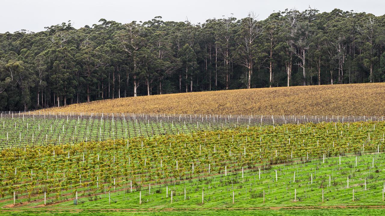 The International Organisation of Vine and Wine (OIV) says that wine production around the world is likely to be about 7 per cent lower in 2023 than last year.