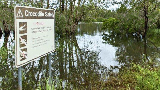 Mudginberri Billabong croc attack