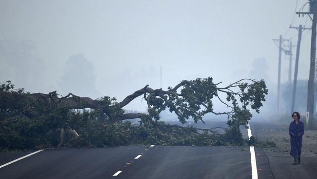 Lea Kendall inspects fallen trees on the Pacific Highway near the town of Yatte Yattah, New South Wales on Wednesday morning. Picture: Sam Mooy/The Australian