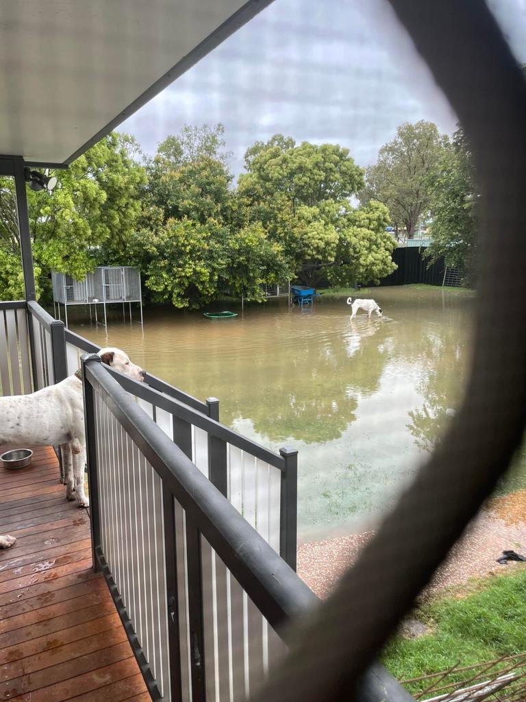 Flooding at Inglewood. Picture: Casey Robinson