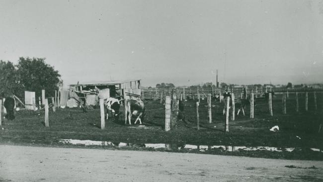 Churchill Rd, Prospect (circa 1920s). Source: State Library SA