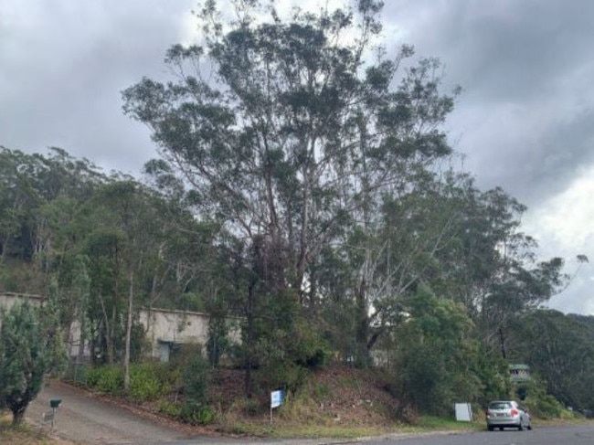 Storage King has permission to clear 26 of the 30 trees on the site. Picture: supplied