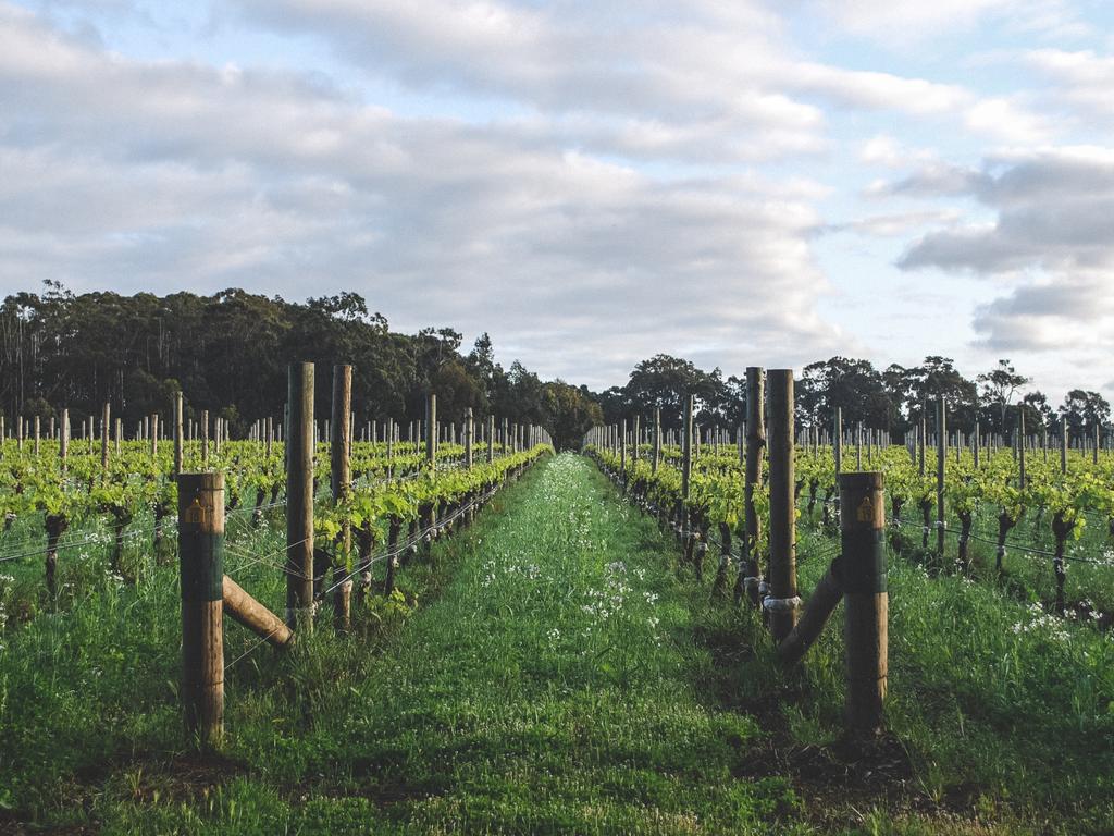 A taste of nature at Voyager Estate, Margaret River WA | The Australian