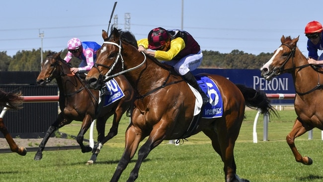 Unstopabull can send punters home happy in the last at Wyong on Thursday. Picture: Bradley Photos