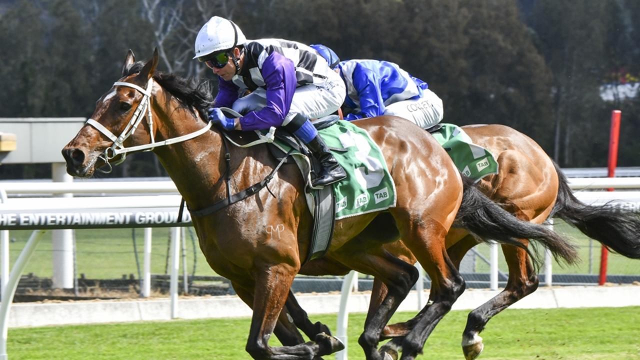 Yet He Moves looks well placed to make it back-to-back wins at Newcastle on Friday. Picture: Bradley Photos