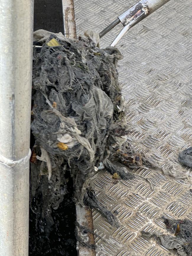 pipe blockages, but contribute to fatbergs.