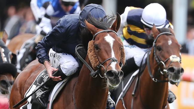 Hunting Horn and Ryan Moore are headed to Flemington. Pic: Micheal Klein