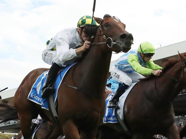 SYDNEY, AUSTRALIA - MARCH 23: Kerrin Mcevoy riding Zapateo wins Race 9 KIA Ora Galaxy  during the Golden Slipper Day - Sydney Racing at Rosehill Gardens on March 23, 2024 in Sydney, Australia. (Photo by Jeremy Ng/Getty Images)