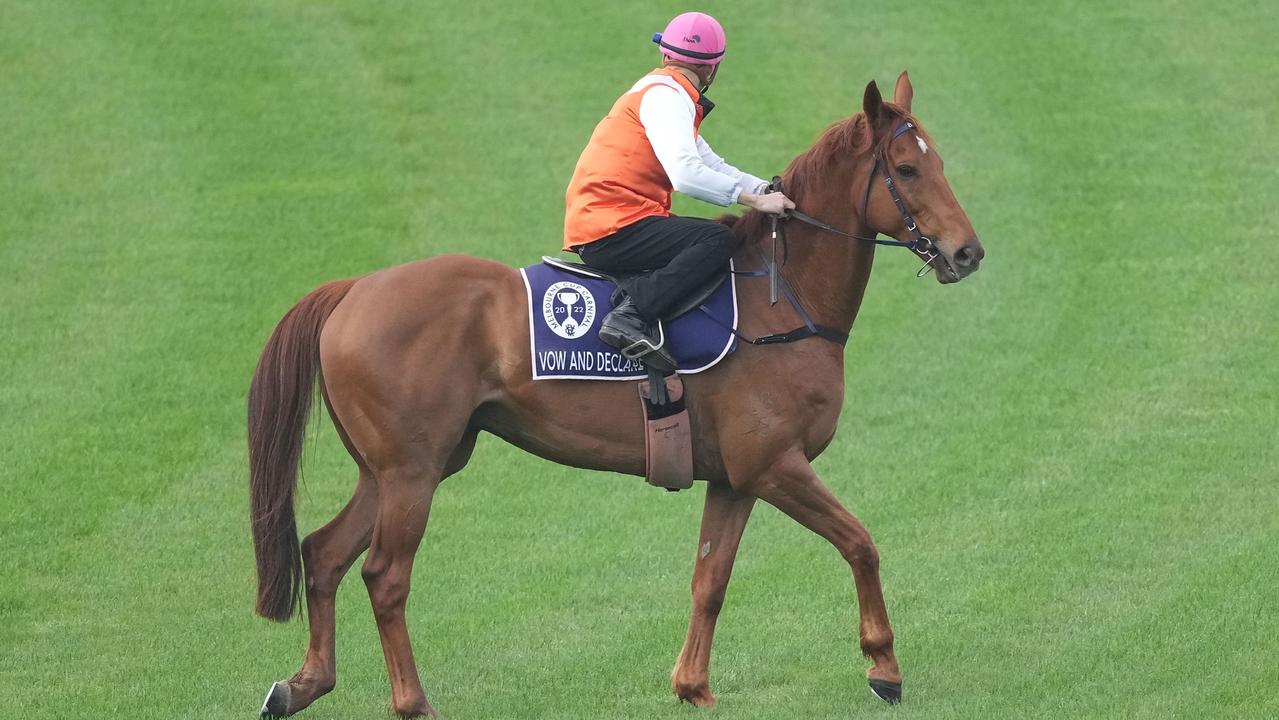 Vow And Declare during trackwork at Flemington Racecourse on October 25 at Flemington. Picture: Scott Barbour/Racing Photos via Getty Images