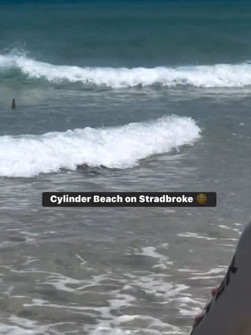 Swimmers rushed from the water onto the safety of the sand after the shark sighting at Cylinder Beach on North Stradbroke Island. Photo: Explore Australia