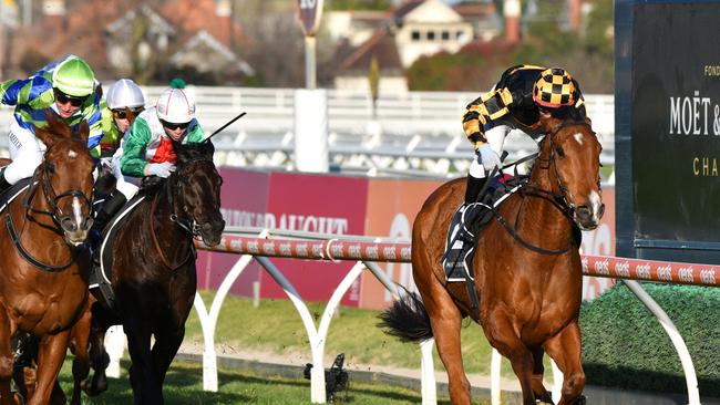 Behemoth defends his Memsie Stakes title at Caulfield. Picture: Getty Images