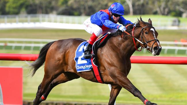 Zaaki is a very short-priced favourite to maintaining his winning form in the Group 1 Might And Power Stakes. Picture: Getty Images