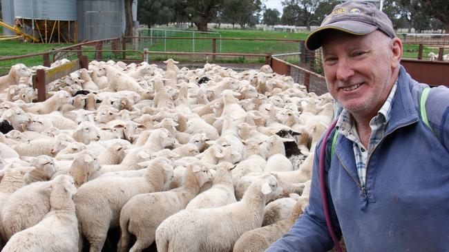 Jim Walsh from Woomboota in southern NSW said the early maturity of the Australian White allows a quick build of numbers. Picture: Jenny Kelly