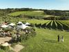 Best wineries on the Mornington Peninsula