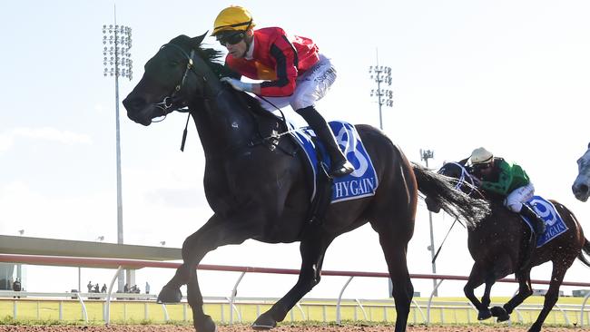 Pharoah's Daughter won at Pakenham two starts back. Picture: Pat Scala/Racing Photos via Getty Images