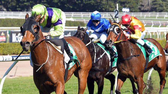 Suncraze impressed in a recent trial and will be hard to beat on Saturday. Picture: Simon Bullard