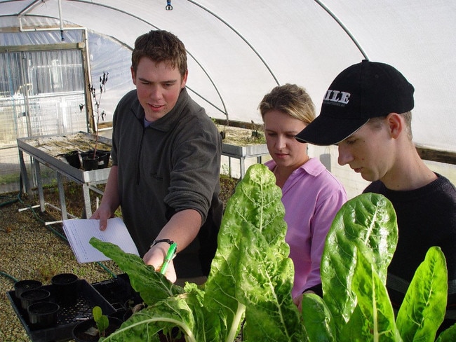 Here are 13 current and upcoming traineeships available in the South Burnett region. File Photo.