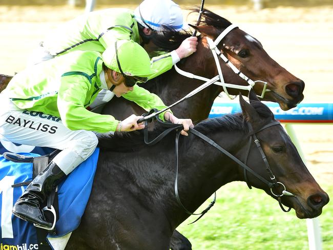 Our Harmony salutes at Mornington last year. Picture: Derrick den Hollander