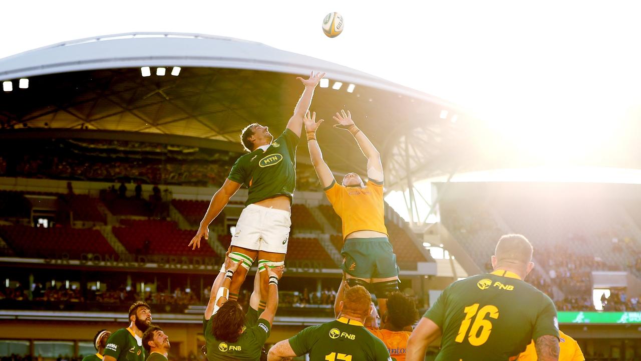 Beer cans were sold over the weekend at Adelaide Oval when the Wallabies and Wallaroos played. Photo: Mark Kolbe / Getty Images