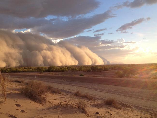 Rolling in. Pic: Maggie Den Ronden