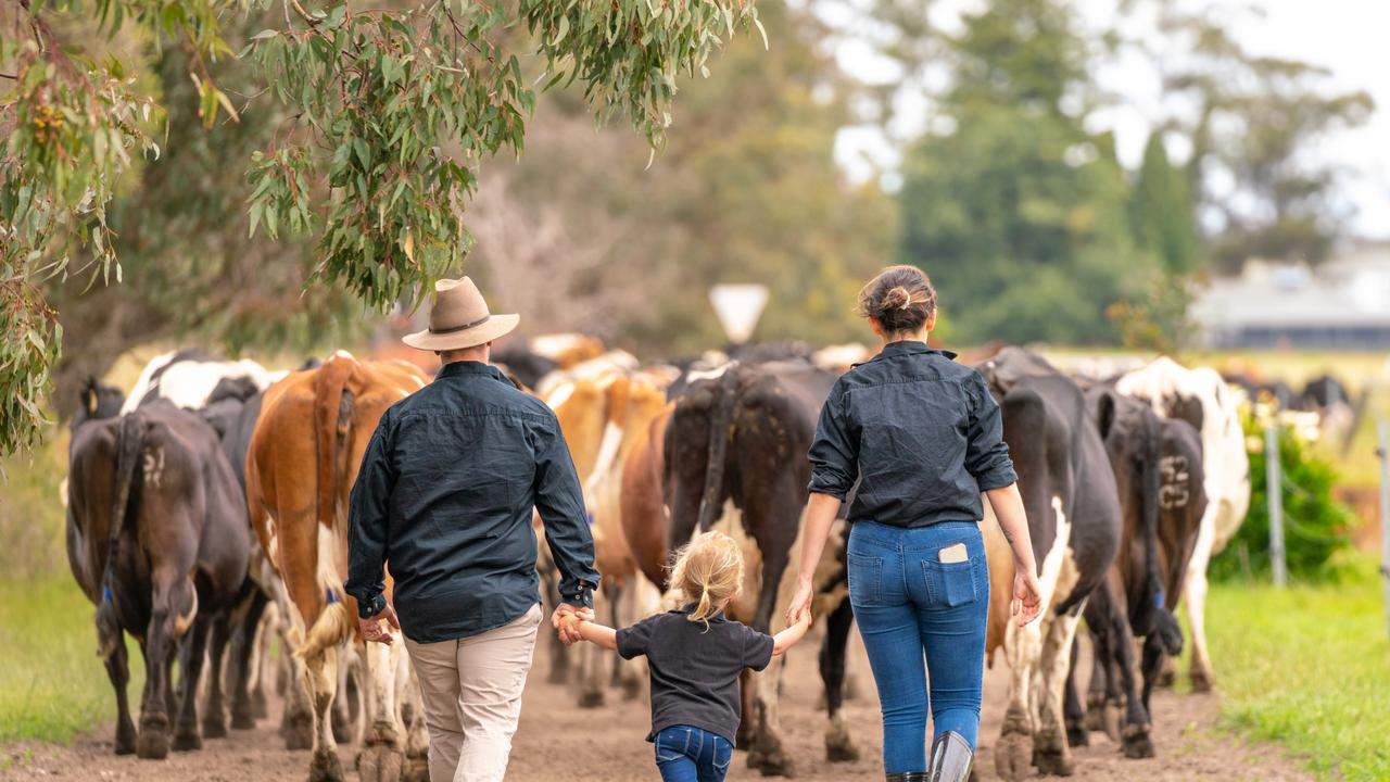 Milk Prices To Fall 2023 24 Opening Season Milk Price Set To Soften   B6938ef081292412cbedd6880babf3d6