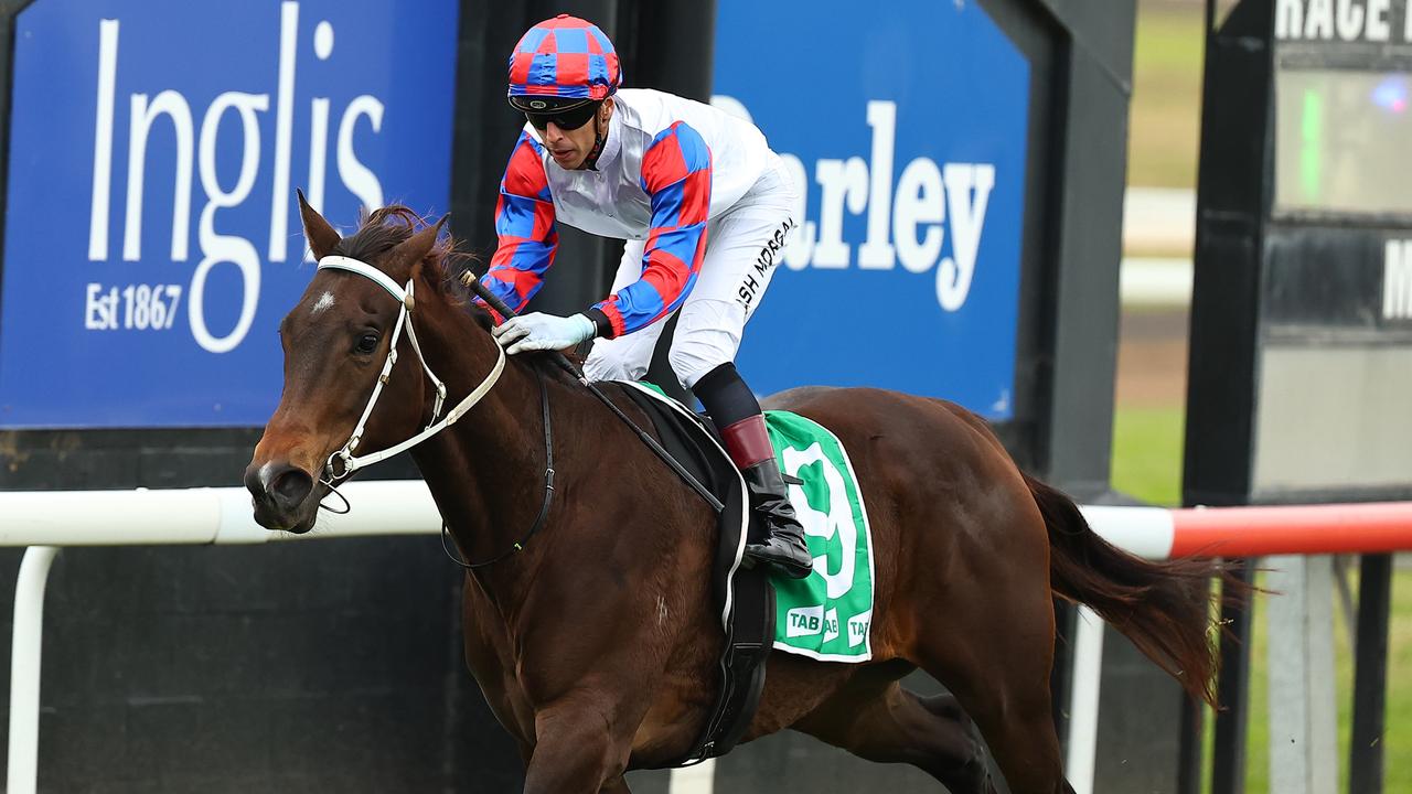 Connections spurn big money offers to chase Qld Derby dream