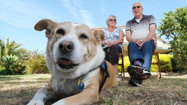 The owners of longtime Ocean Grove small business and popular pet-friendly vacation rental Bells By The Beach have sold the business. here Jan and Lin Bell pose with Sophie the dog at Bells By The Beach Picture: Mark Wilson