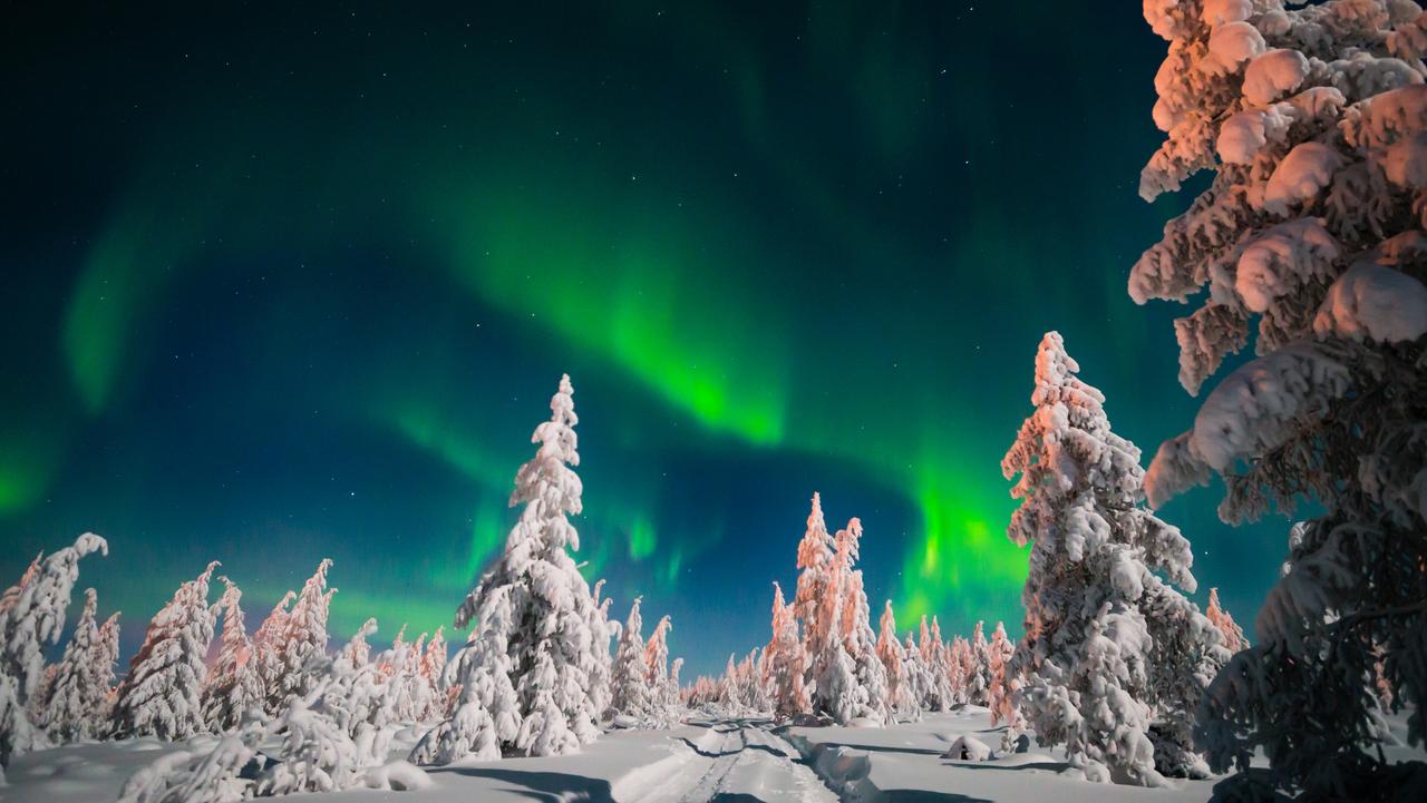 Winter night landscape with forest and polar northern light