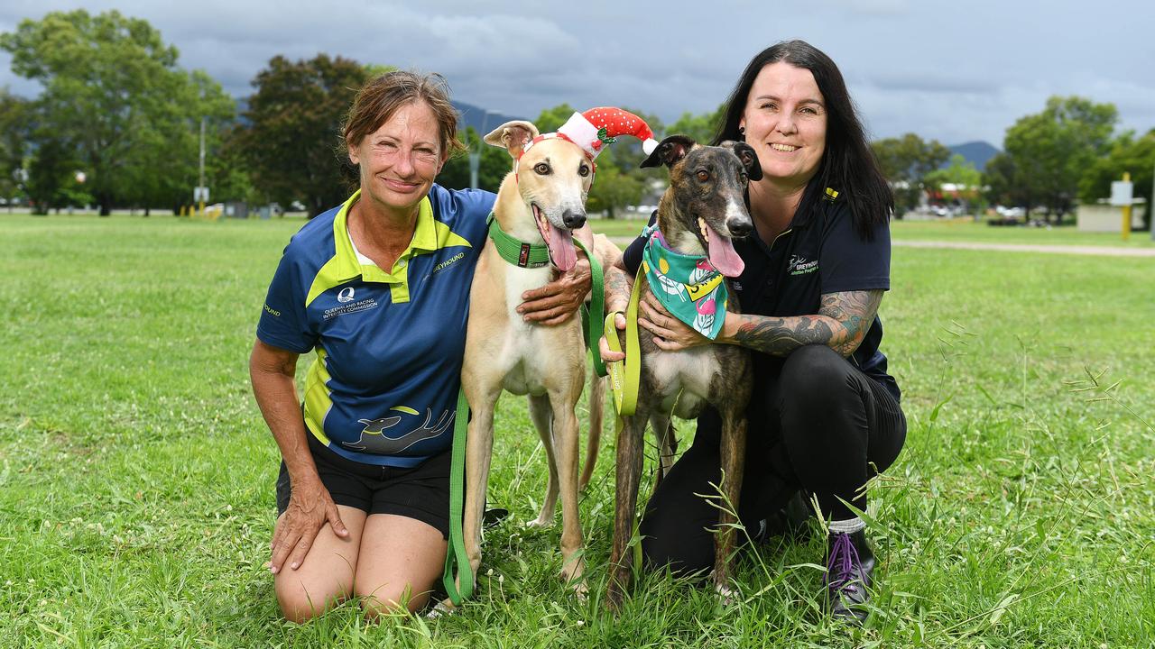 Lisa Barker and Karolyn Quinn with Jack and Iris, both greyhounds are looking for their forever homes. Picture: Shae Beplate.