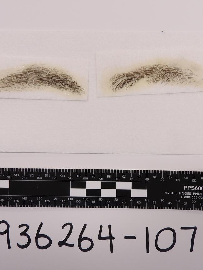 The eyebrows, as tendered to court.