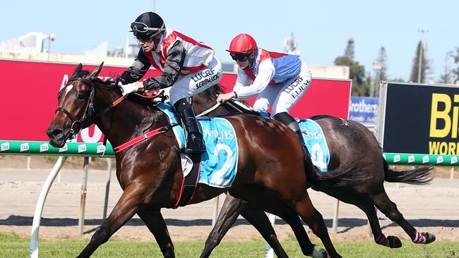 Racing at Aquis Park. Winner of race 1, number 2 STAMPE. Jockey is Sean Cormack. Trainer is Chris Munce.Photo by Richard Gosling