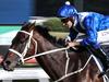Anatomy of a super horse: What makes Winx the best