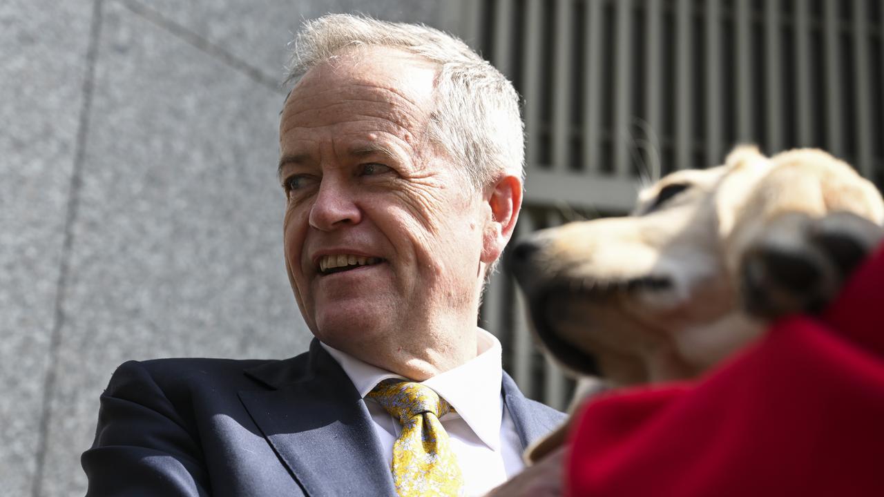 Minister for the NDIS and Government Services Bill Shorten joins calls to ban dangerous dog breeds. Picture: NCA NewsWire / Martin Ollman