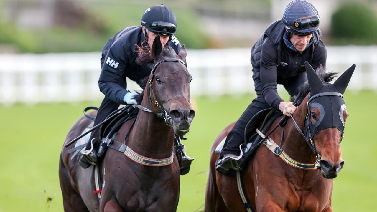 Moonee Valley trackwork