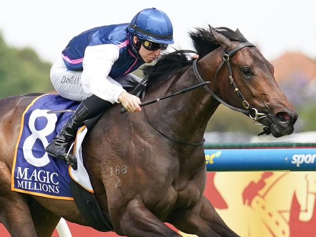 Invincible Woman ridden by Damian Lane wins the Magic Millions VIC 2YO Classic at Caulfield Heath Racecourse on December 14, 2024 in Caulfield, Australia. (Photo by Scott Barbour/Racing Photos via Getty Images)