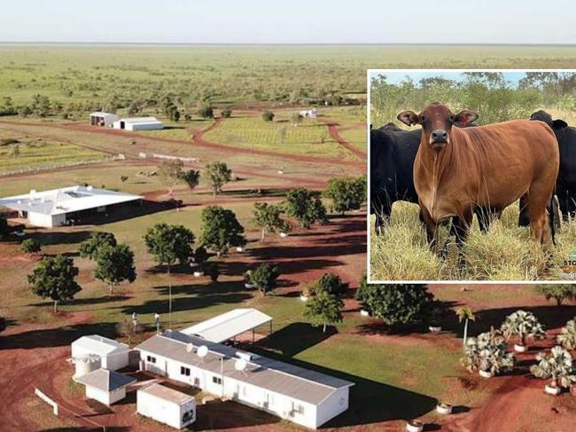 Australian cattle stations for sale. Photo: Supplied