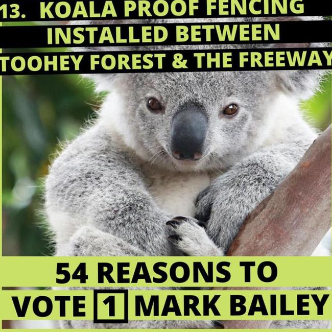 GSB – Mark Bailey spruiking the government's $1m koala proof fencing at Toohey Forest ,