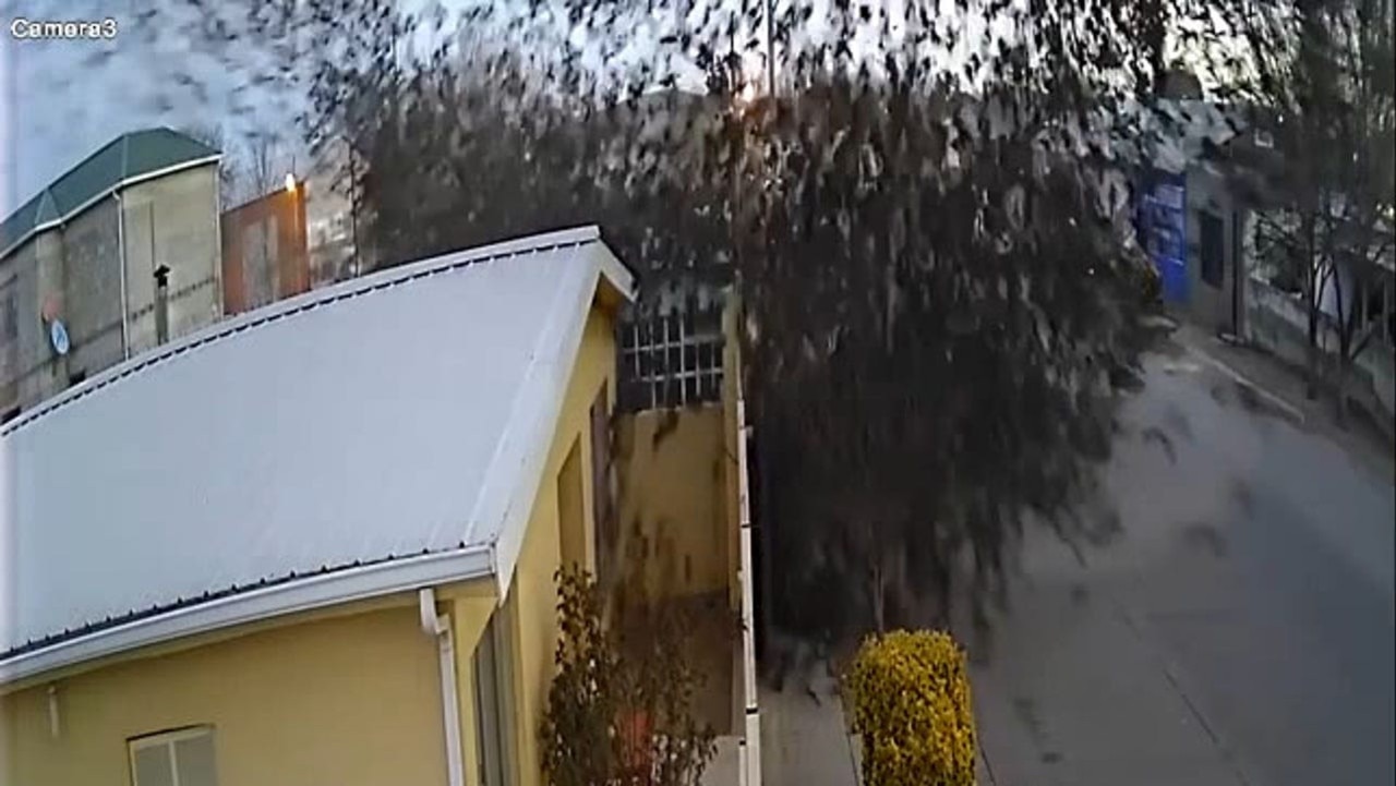 The incredible video shows thousands of birds dropping from the sky in Mexico.