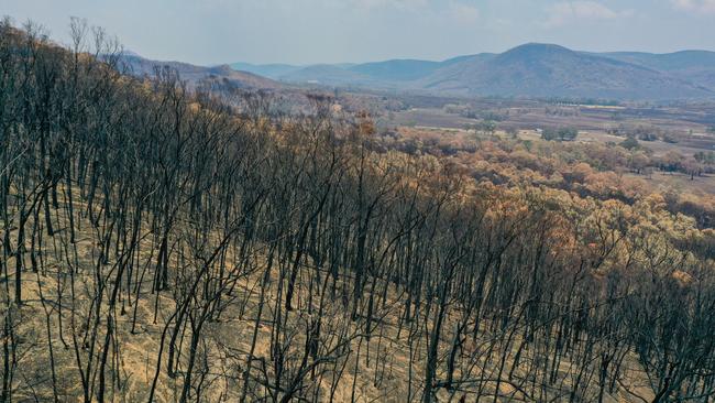 The devastating impact of Victoria’s fire crisis first-hand. Picture: Simon Dallinger