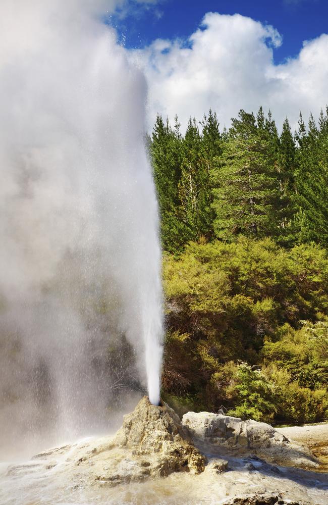 And powerful. This is the Lady Knox Geyser.