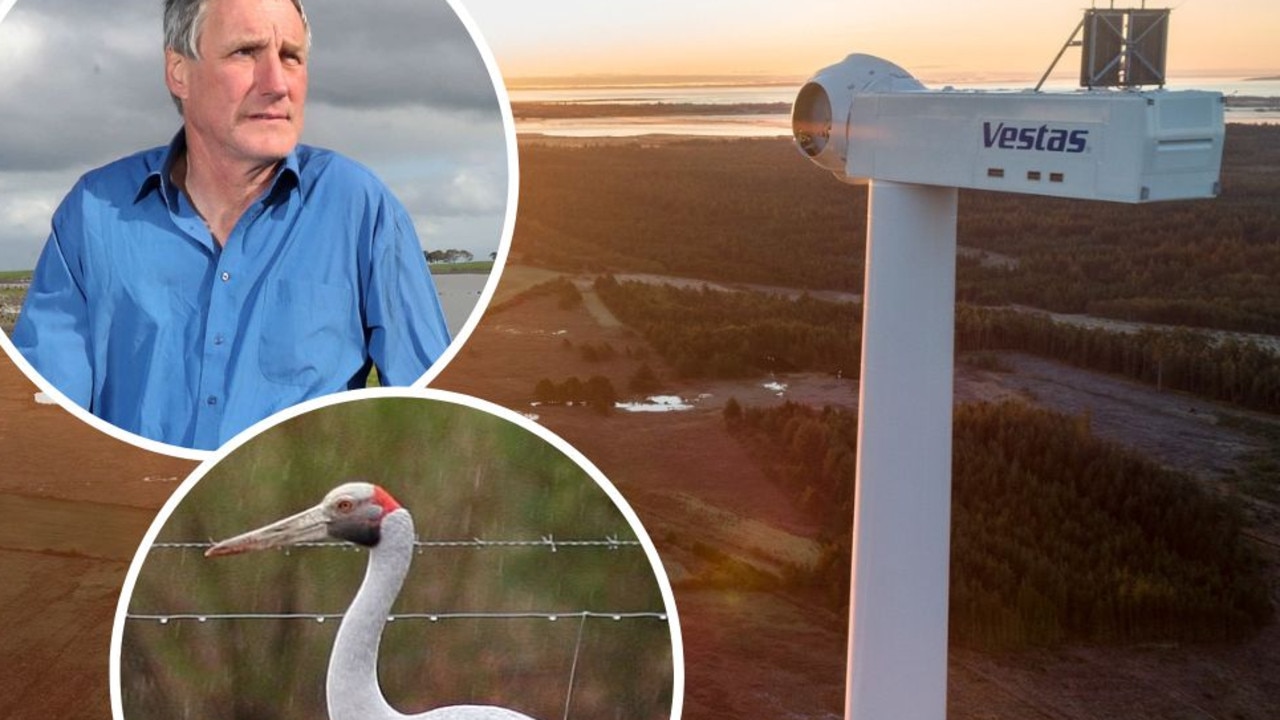 Brolga enthusiast Hamish Cumming is taking on the Golden Plains Wind Farm site for the fifth time.